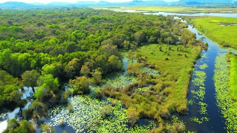 Habitat and Natural Environment