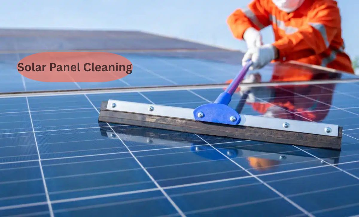 Solar Panel Cleaning