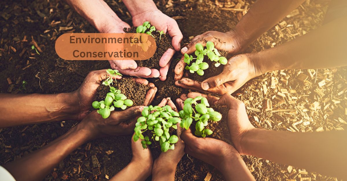 Environmental Conservation