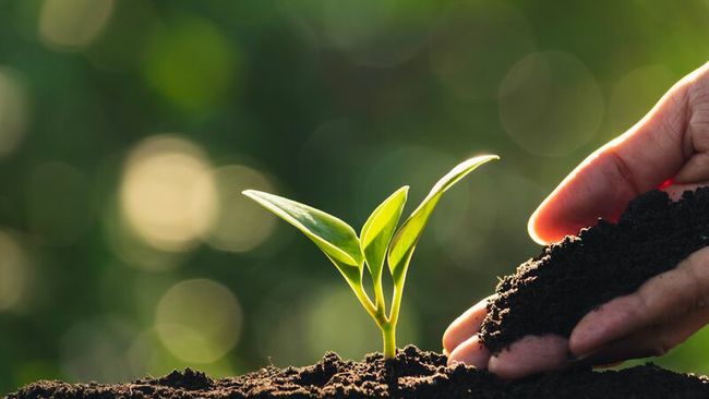 Conservation and Protection