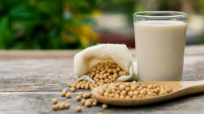 The Future of Insoya